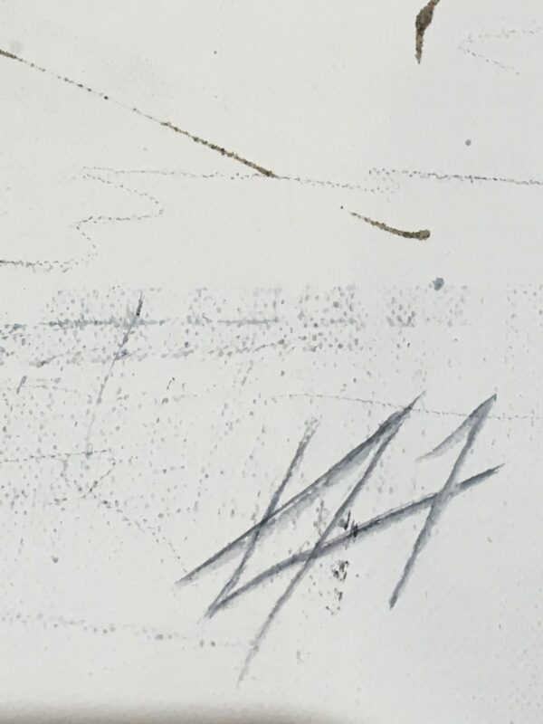 VENDU - Bateaux Imoca en régate