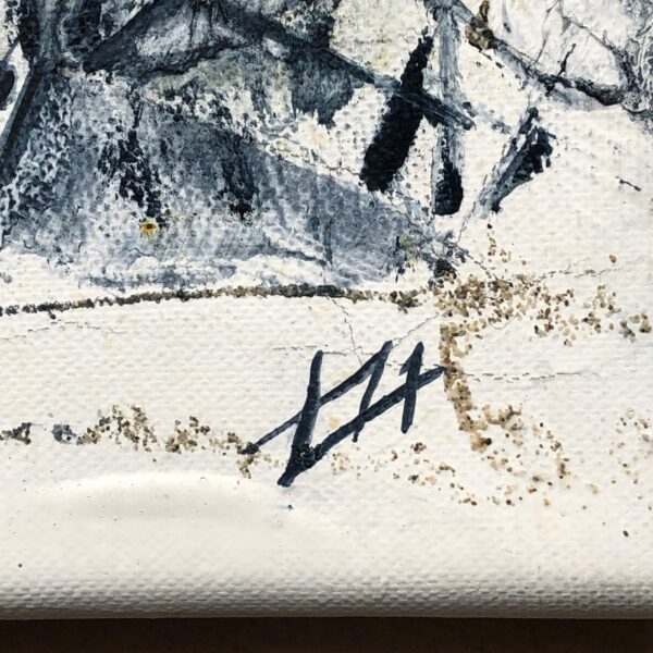 Bousculade au départ de la régate