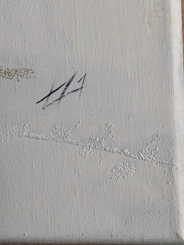 IMG_5166 Clipper quittant l'Upper Bay