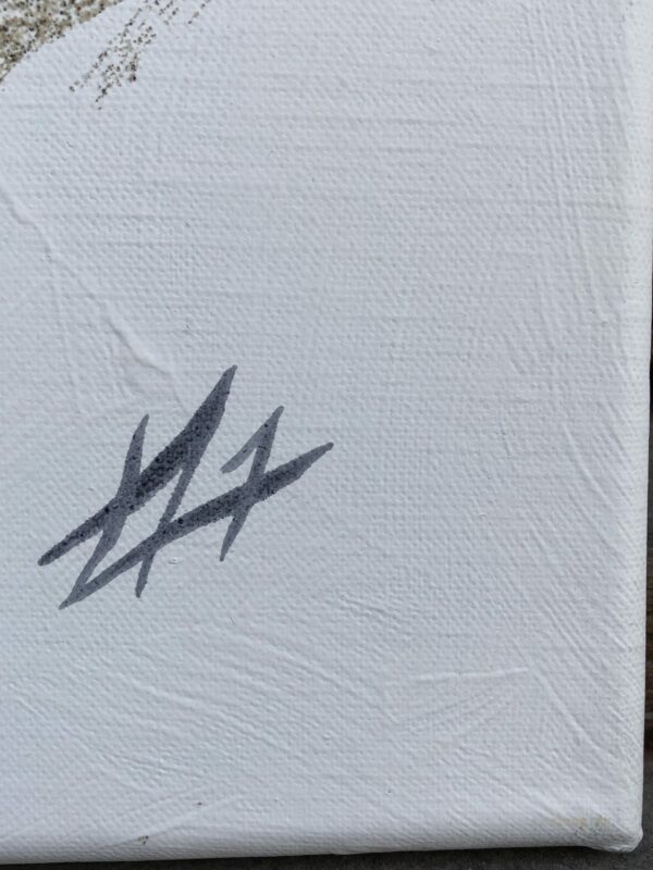 Départ de la Volvo Ocean Race