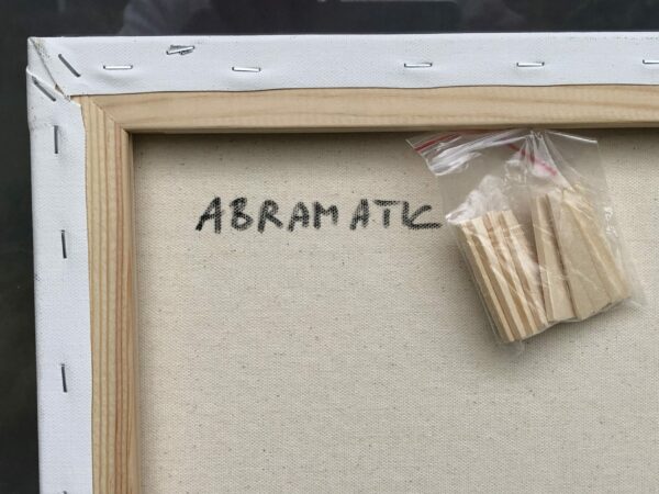 VENDU - Simon Russel lors du championnat du monde de Finn à Medemblik