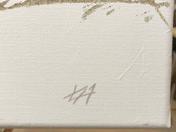 Finn World Championship in Aarhus