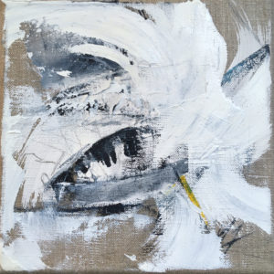 Sous l'écume de la transat Saint-Barth Port-la-Forêt