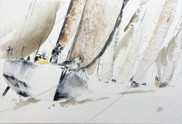 Voiliers au départ de la course